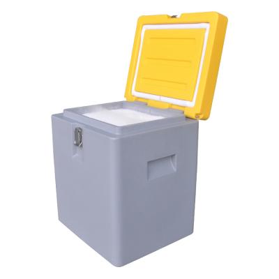 China Waterproof Professional Lightweight Customized Eco-Friendly Collapsible LLDPE Foam Insulated Cooler Box for sale