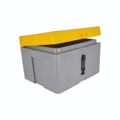 China Minus 70 Degree Low Temperature Resistant Insulated Dry Ice Storage And Transport Box for sale