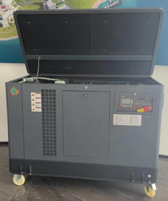 China USA Silent 10kw 15kw 20kw EPA Engine LPG LNG Natural Gas Generator Genset for sale