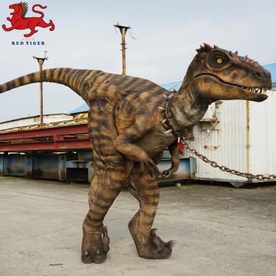 Κίνα Στολή Animatronic Velociraptor , Τεχνητή στολή δεινοσαύρων ενηλίκων προς πώληση