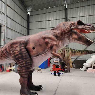 China Museum Realistisch dinosauruskostuum 8m lange volwassen leeftijd Geluiden aangepast Te koop