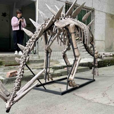 China Exposição Jurassic Park Dinossauro Esqueleto, Réplicas de Ossos de Dinossauros à venda