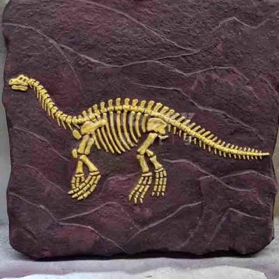 China Modelo de réplica de esqueleto de dinossauro ao ar livre em tamanho natural aprovado pela RoHS à venda