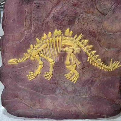 China Réplicas de dinossauros feitas à mão em museus, réplicas de caveiras de dinossauros jovens à venda