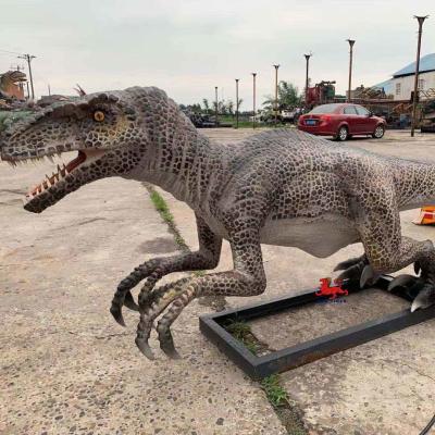 China Themenpark Realistischer animatronischer Dinosaurier-Raptor mit Bewegungs- und Tonanpassung zu verkaufen