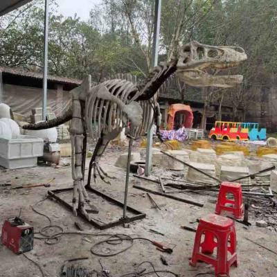 China Réplica de crânio de dinossauro em tamanho real para ambientes externos/internos, réplicas de fósseis de dinossauros à venda