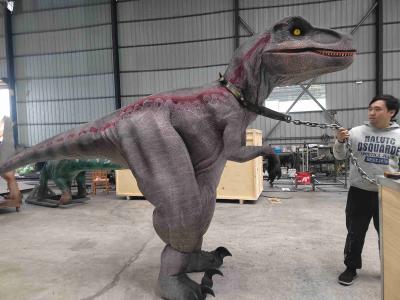 China Zigong Manufacturer Life-Size Red Striped Raptor Costume For Sale for sale