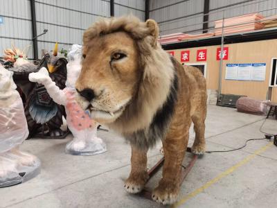 China Realistic Animatronic Life Size Lion  Customized Available 12 Months Warranty for sale