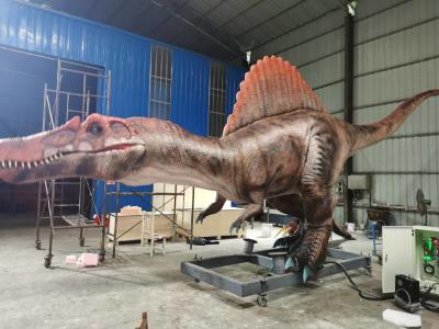 Cina Dimensioni reali Animatronici Dinosauro Spinosauro Servomotori Ampia gamma di movimenti in vendita