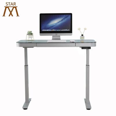 China (Height) 10 Years Warranty Double Motors Kids Height Adjustable Standing Desk Pictures Electric Frame for sale