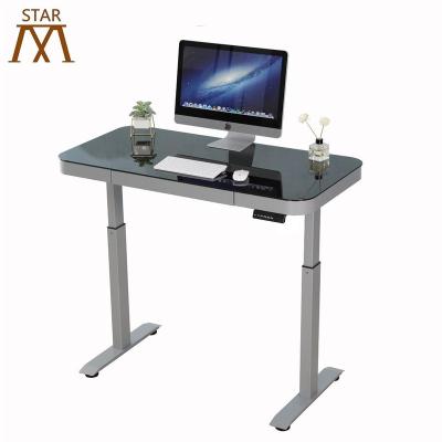 China (Height) Dual Motors Adjustable School Standing Electric Desk Adjustable Sitting Reception Standing Frame for sale