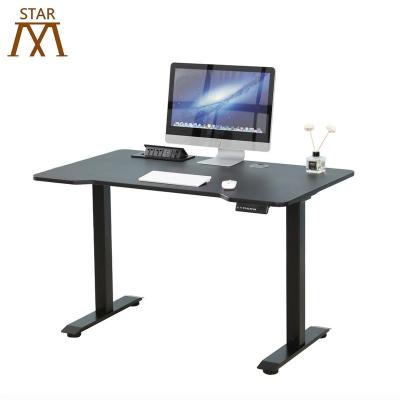 China Height Adjustable Ergonomic Dual Motors Electric Adjustable Kids Standing Desk With Two Motors Reception for sale