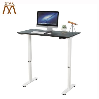 China Adjustable Modern Metal Style Two Legs Height (Height) Electric Motors Standing Adjustable Desk for sale