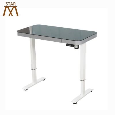 China China Supplier Modern Sit Stand Electric Adjustable Desk Adjustable Height Sitting To Standing Across Desk for sale