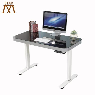 China (Height)Adjustable Electric Lift Motorized Standing Desk With Lift Desk View for sale