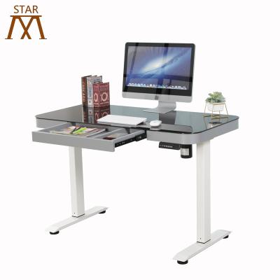 China Ergonomic Electric Adjustable Standing Frame Desk Height Adjustable Height Desk for sale