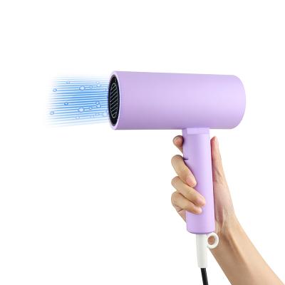 China 2021 Spray Finish Hair Blow Dryer 1400W 1600W Foldable Multilayer Rechargeable Portable Hair Dryer Hotel Hair Dryer for sale