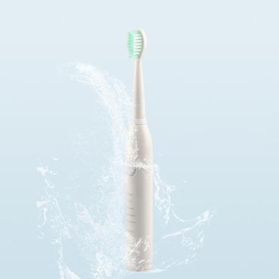 China Battery Operated CE RoHS Certificate Whiten Fashion Clean Electronic Travel Care Portable Adult Sonic Toothbrush for sale