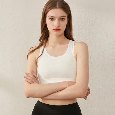 China RTS Breathable High Quality Soft Breathable Anti-Bacterial Anti-mite Latex Yoga Sports Bra Natural Yoga Crop Top for sale