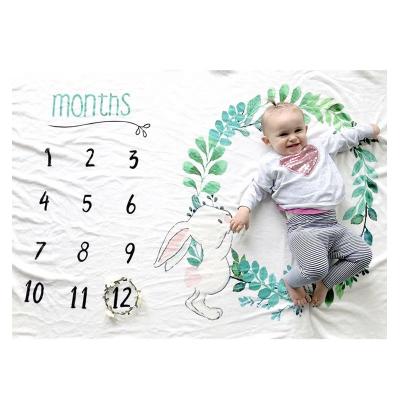 China Monthly Milestone Baby Blanket Photography Fleece Blanket Single Viable Infant Newborn Baby Blanket for sale