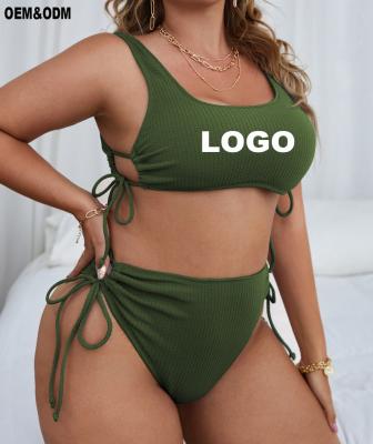 China Factory Direct Custom Sexy Logo Two Pieces Women Swimwear Beach Wear Bikini Plus Size LIGHTSUIT Plus Size Swimwear for sale