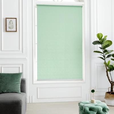 China Manual Modern Roller Shades Style Polyester Material Manual Window Curtain Roller Blinds For Home Windows for sale