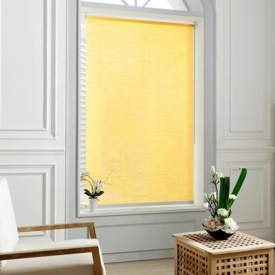 China Blackout Roll Paper Blinds Blackout Advantage High Quality Single Roll Paper Blinds For Indoor Window for sale