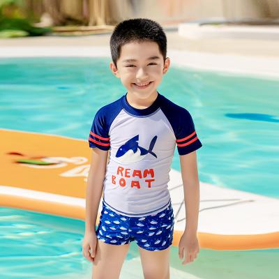 China 2022 New Design Summer Sport Beach Wear Short Sleeve Print Two-Piece Set Boys Swimwear Breathable New Design For Kids for sale