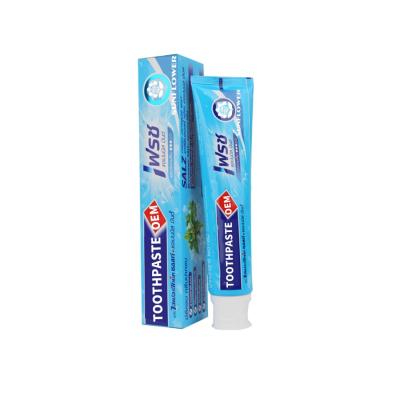 China High Quality Anti-cavity OEM Factory Toothpaste 120g Good Quality OEM For Adult for sale