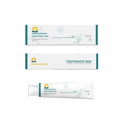 China OEM Antibacterial Factory High Quality Oral Mint 120g Gel Kids Oral Regenerative Toothpaste For Adult for sale