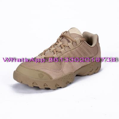 China Wholesale Retail ESDY Army Outdoor Sport Climbing Nylon Low Upper Tactical Shoes for sale