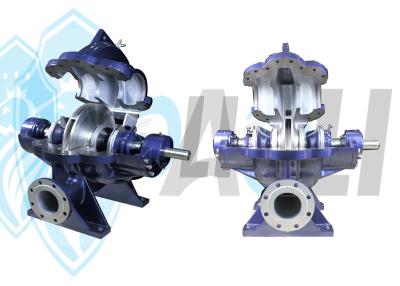 Cina Pompa centrifuga industriale di doppia aspirazione per la pianta acquatica/l'irrigazione in vendita