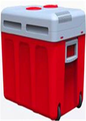 China Electric Car Cooler Refrigerator for sale