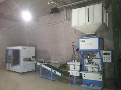 China High Accuracy Granule Bag Packaging Machine With Double Weighing Hopper for sale