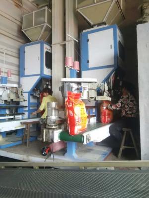 China High Accuracy 25kg - 100kg Seed Flour Packaging Machine For Rice Mills for sale