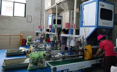 China 25kg Semi Auto Rice Bag Packing Machine / Rice Filling And Sealing Machine for sale