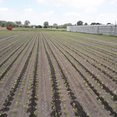 China Automatic Agriculture Drip Irrigation System Drip Tape Irrigation System Vegetable Garden Irrigation Systems Drip Tape China Flat Emitter Drip Tape for sale