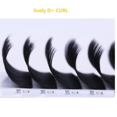 China D+ Natural Animated Curl Slit Tips Flat Eyelash Extension Wholesale 0.12 for sale