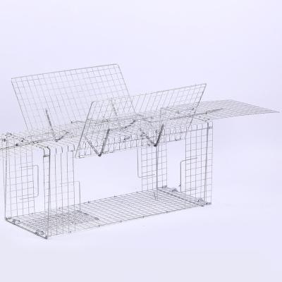 China Viable Durable Flight Animal Traps Sell Well All Kinds Of Bird Cages Are Worth Buying Bird Cage Traps for sale