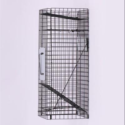 China Viable Widely Used Metal Cages Catch Live Cages Wild Rabbit Animal Hook Trap for sale