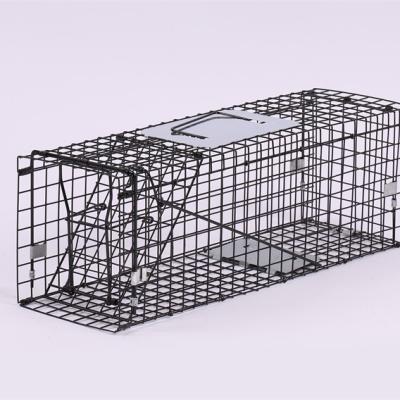 China Viable Good Quality Rectangular Animal Trap Cages For Squirrels Capture Well Designed Traps for sale