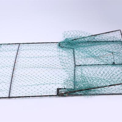 China Sustainable Manufacturers Supply Live Animal Cages Trap Bird Traps Humane Trap Release Cages for sale