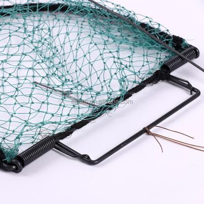 China Mesh Live Catch Netting Animal Hunting Control Bird Sparrow Viable Humanitarian Catch Trap for sale