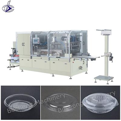 China Full Automatic PET/PVC/PP/PS/PLA Small Plastic Egg Tray Making Machine Price To India And South Africa With Price for sale