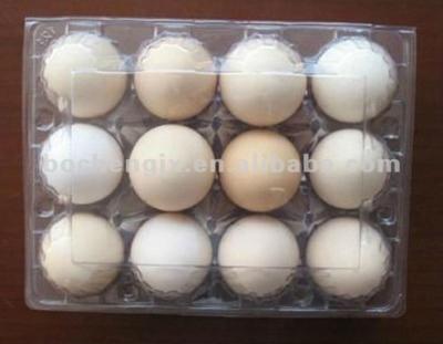 China Plastic Sheets Like: PS\HIPS\Plastic Egg Tray Vacuum Forming Machine New Design PVC\PET\PP 2014 for sale