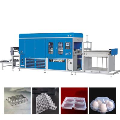 China Newest Fully Automatic Disposable PET Lunch Box Vacuum Forming Machine for sale