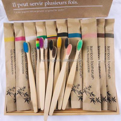 China Manufacturer 100% Foldable Organic Biodegradable Adult Kids Bamboo Charcoal Stiffen Bamboo Toothbrush With Case for sale