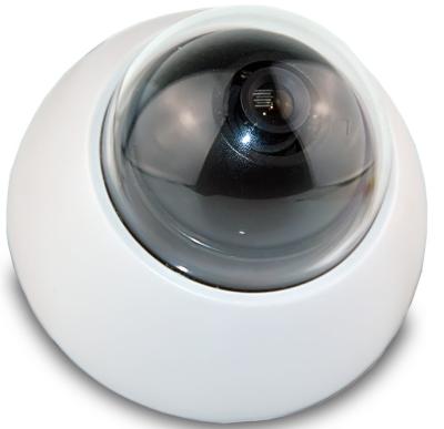 China White Ccd Color IR Dome Camera 700tvl Video Surveillance Camera With Night Vision for sale