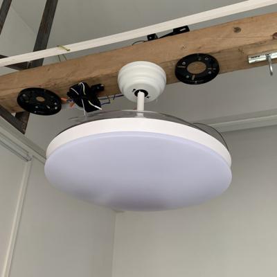 China With Light Modern Decorative Metal Shade Around Remote Control Led Ceiling Fan Lamp for sale