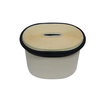 China Sa17391 Ca30071 Filter Paper Ducted Flow Primary Air Element 2525001 252-5001 252-5002 Af1009 Af1010 for sale